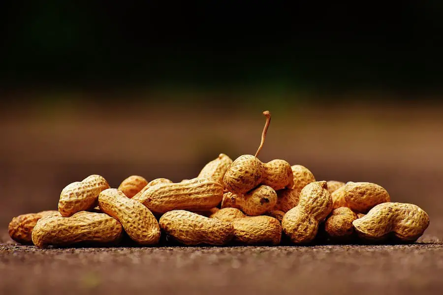 Group of Peanuts 