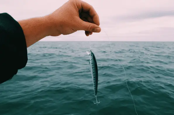 person holding fish hook