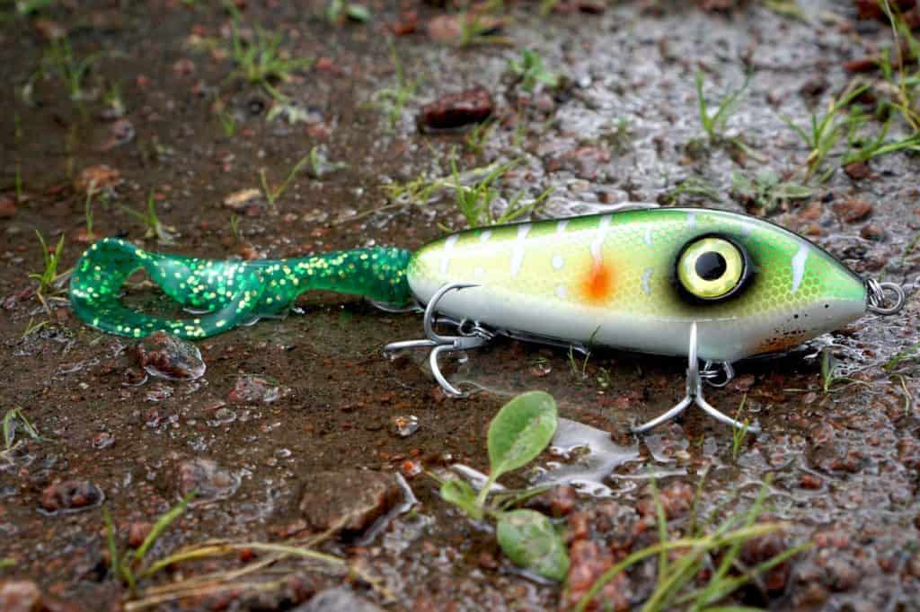 what-s-the-best-bait-for-bass-top-10-revealed-the-fishing-master