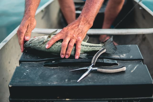 a needle nose pliers on top of a tackle box