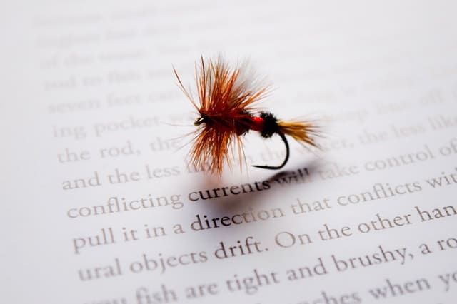 fishing hook on top of a book