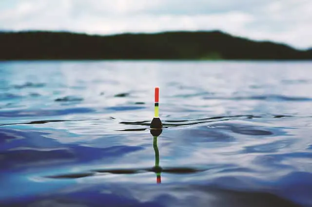fishing bobber on the water