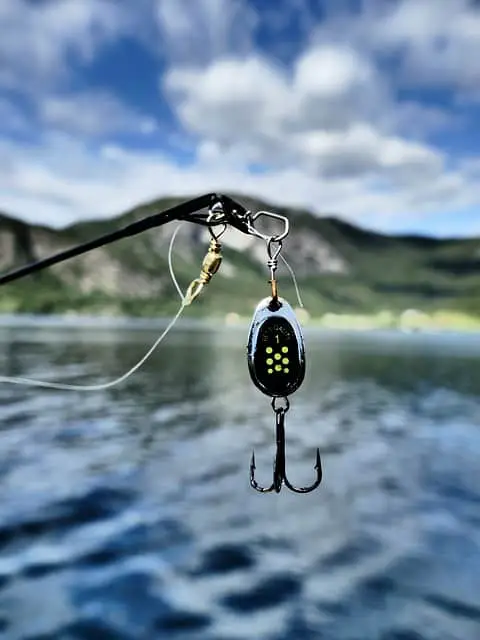 fishing bait attached to swivel