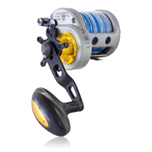 a fishing reel