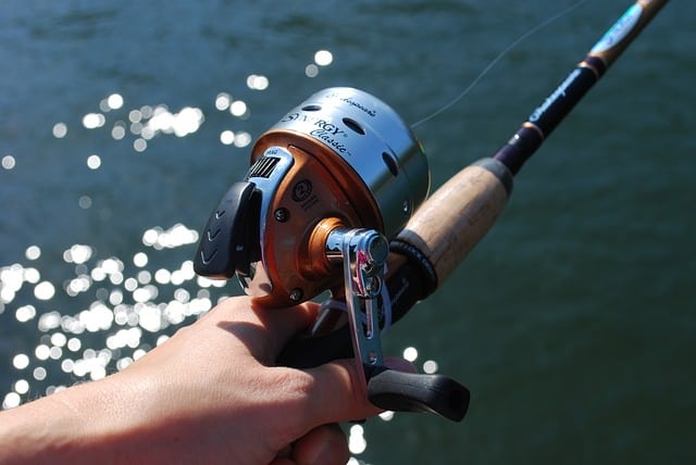 a closed face fishing reel