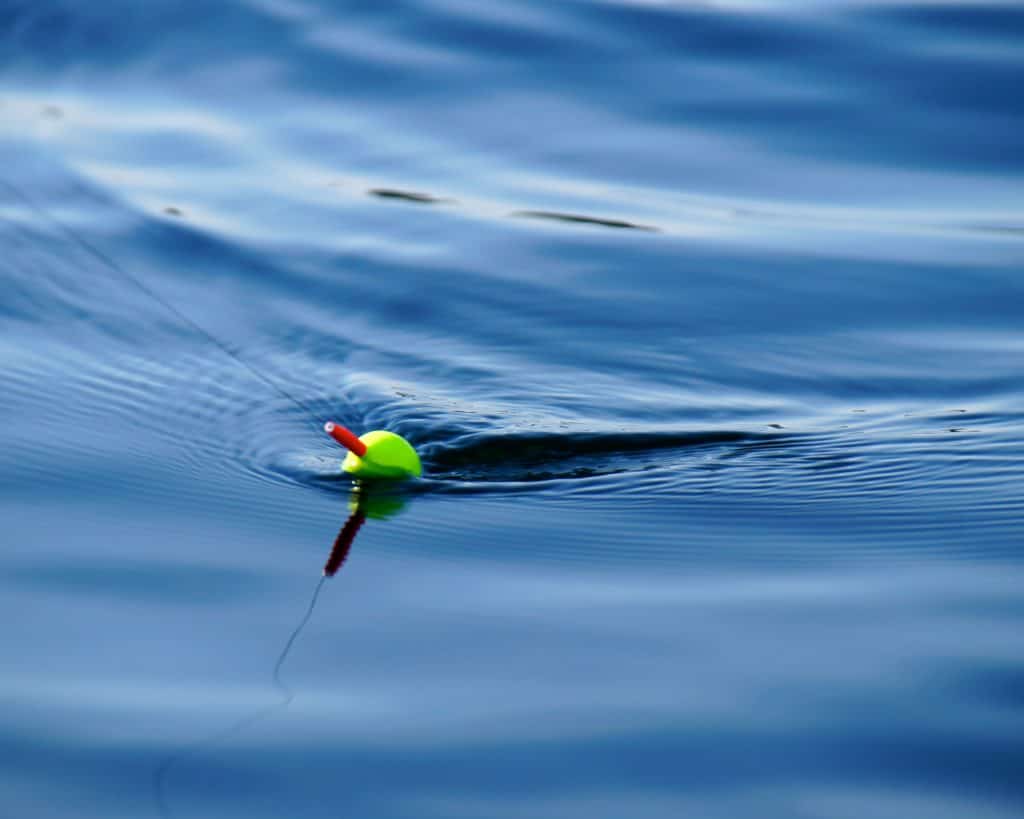 fishing bobber being pulled from the water